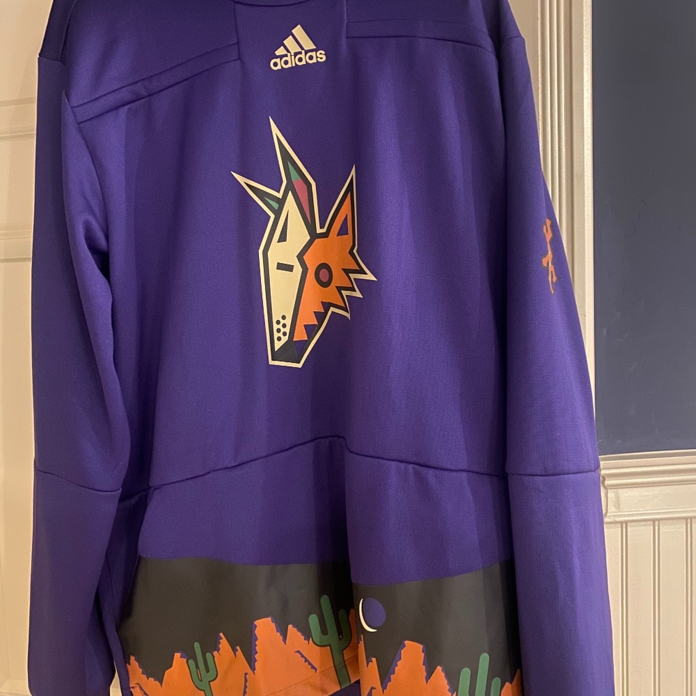 Arizona Coyotes retro hoodie